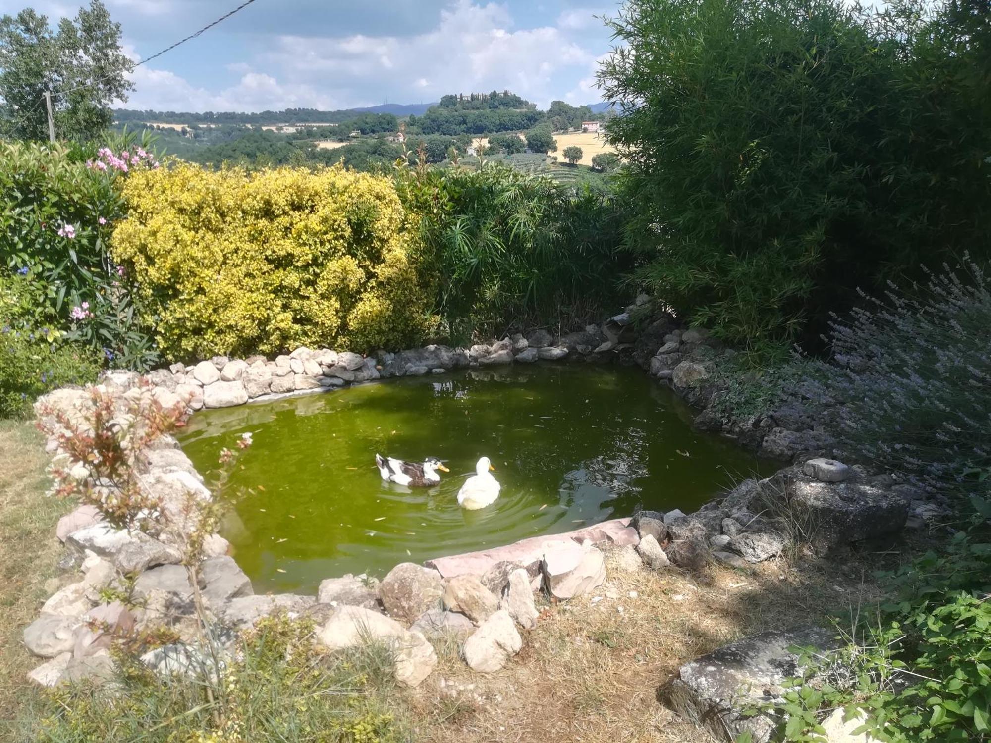 הוילה טודי La Piccola Fattoria מראה חיצוני תמונה