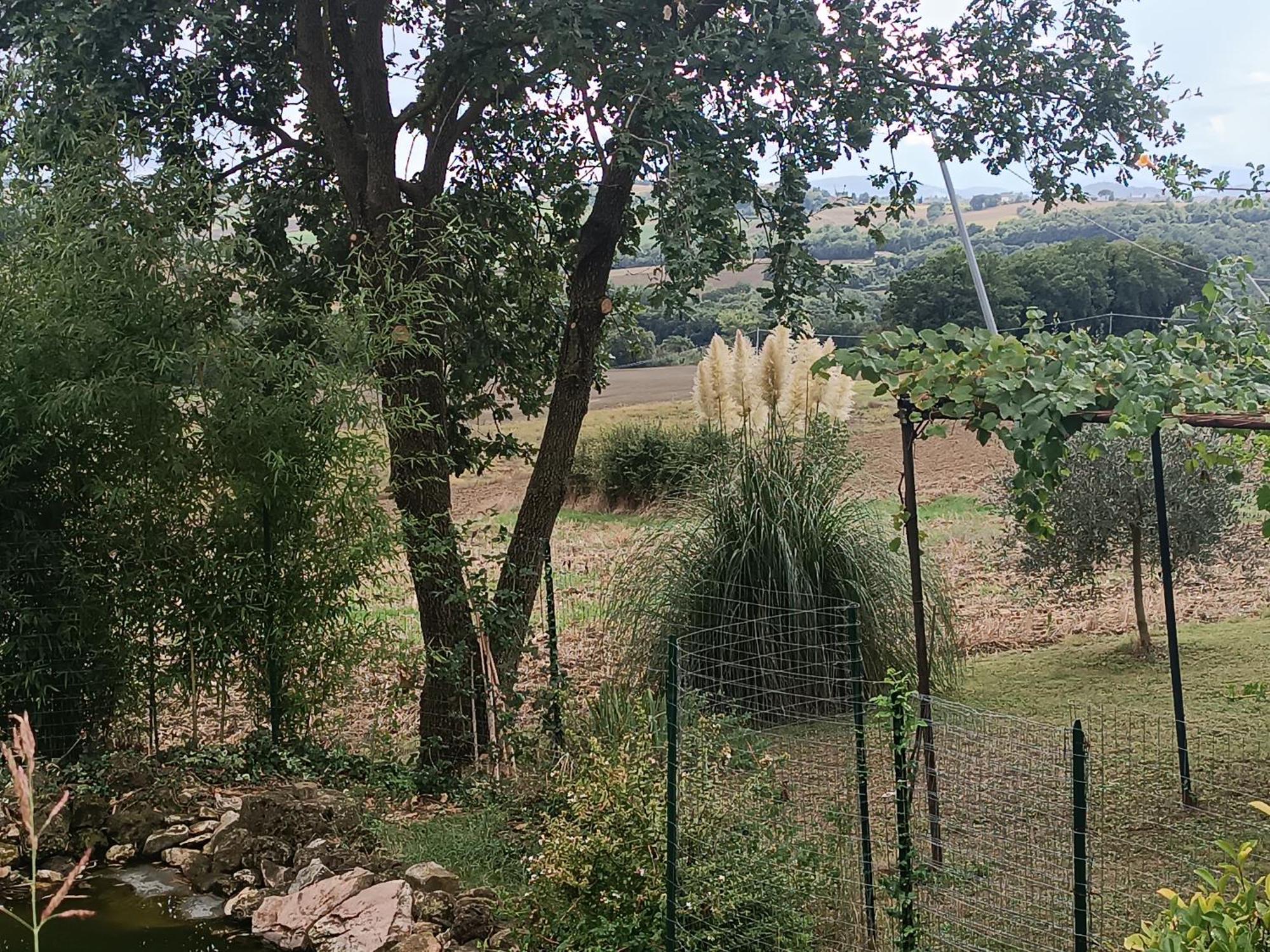 הוילה טודי La Piccola Fattoria מראה חיצוני תמונה